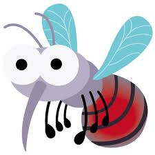 Mosquito Control